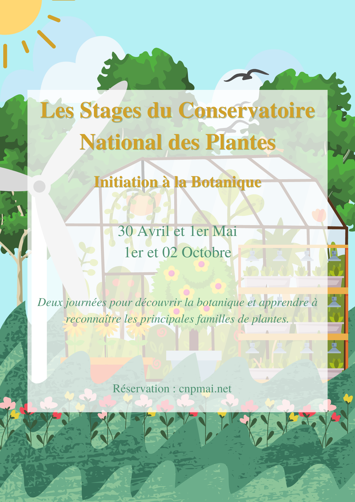 Lire la suite à propos de l’article Stage : Initiation à la botanique