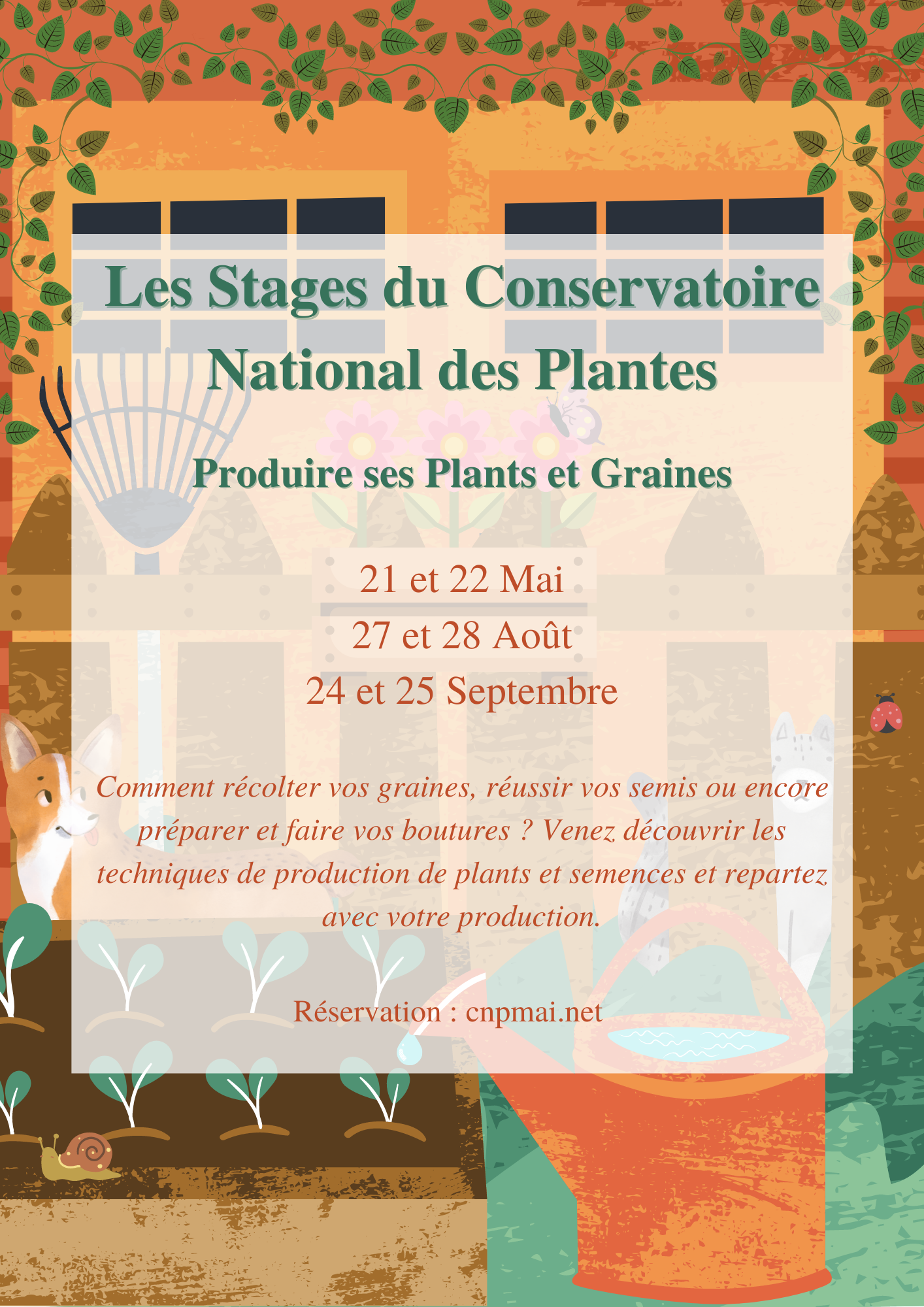 Lire la suite à propos de l’article Stage : Produire ses plants et graines